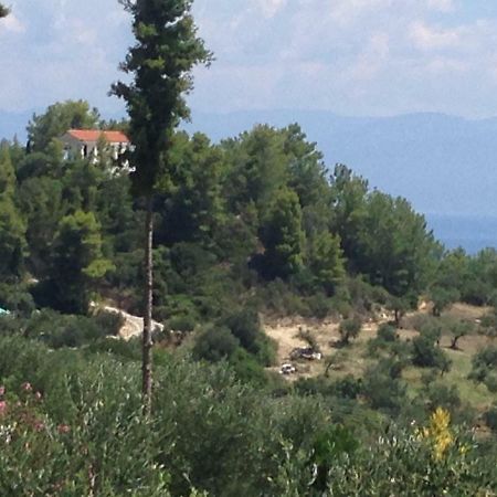 Vounária Villa Nadia מראה חיצוני תמונה